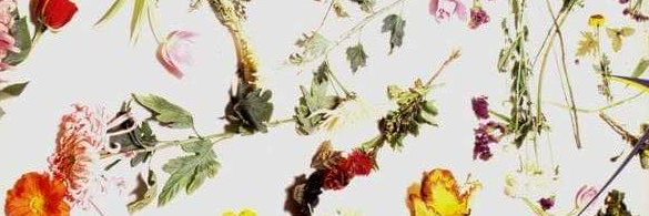 leahmarche's profile banner image