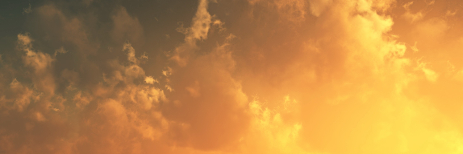 Оля Карпова banner