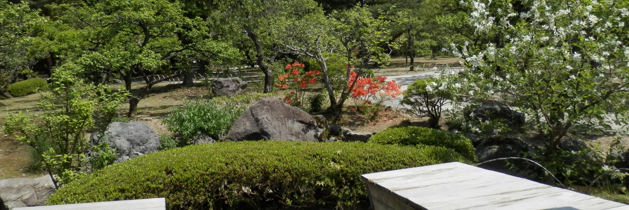 siguhiro951's profile banner image