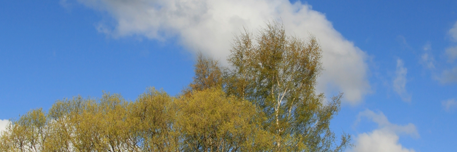 Надежда Полякова banner