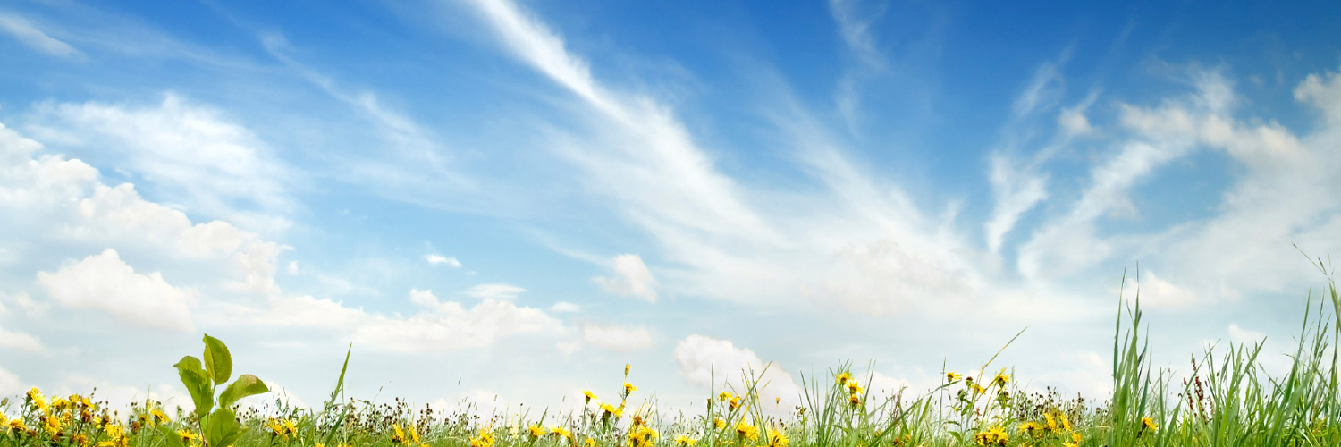Нина Александрова banner