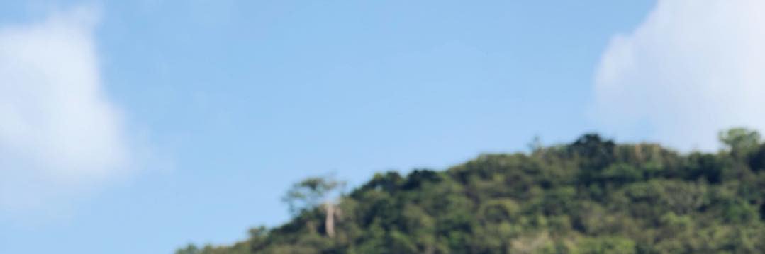 Roseanne926's profile banner image