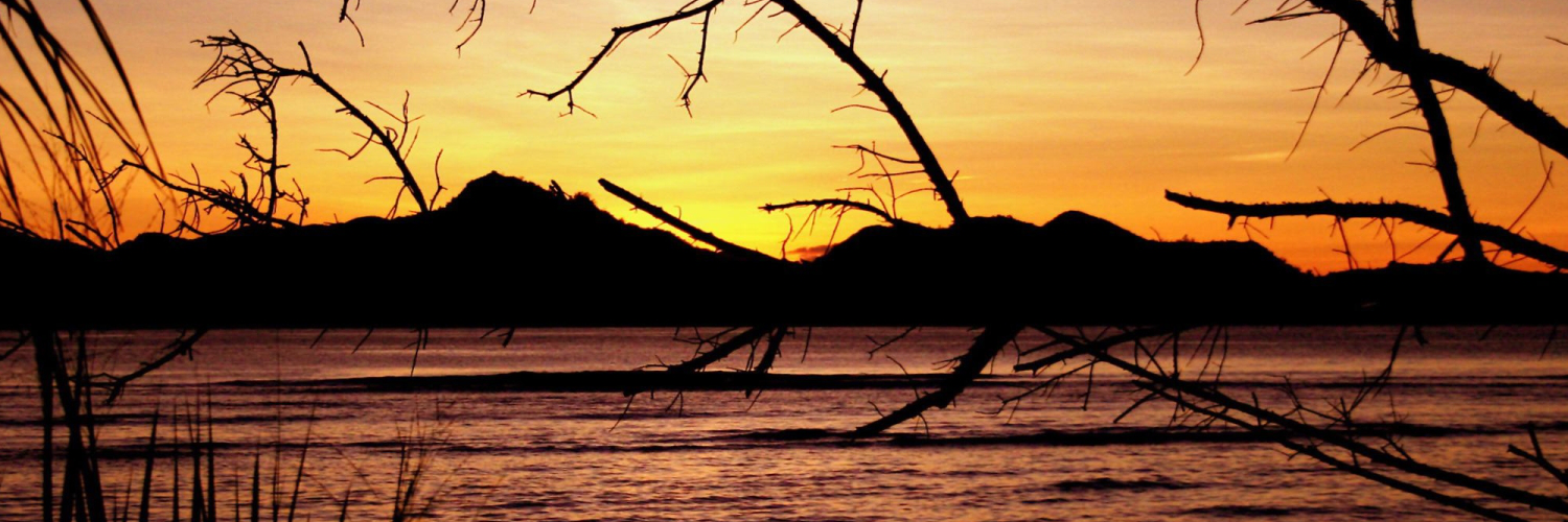 Леся Семенова banner