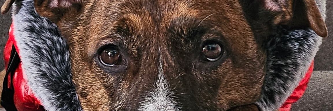 Durand The Rapper banner