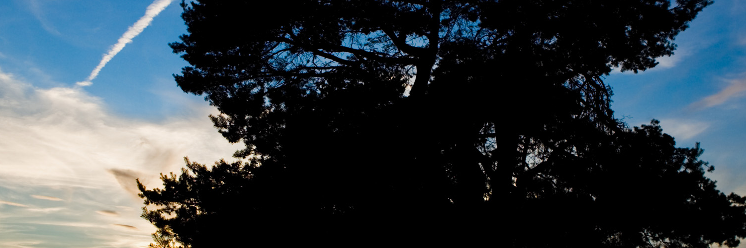 brianojutuzep's profile banner image