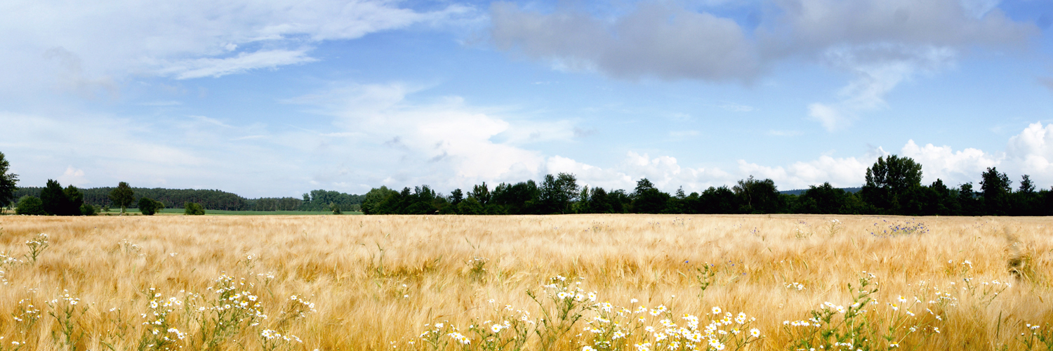Юля Карпова banner