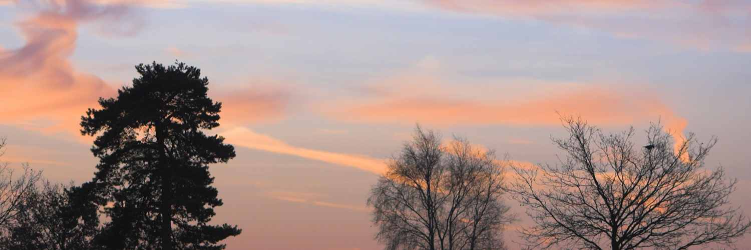 Вера Маслова banner