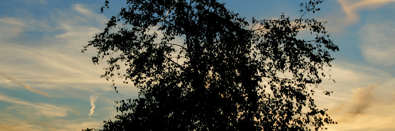 Лера Васильева banner