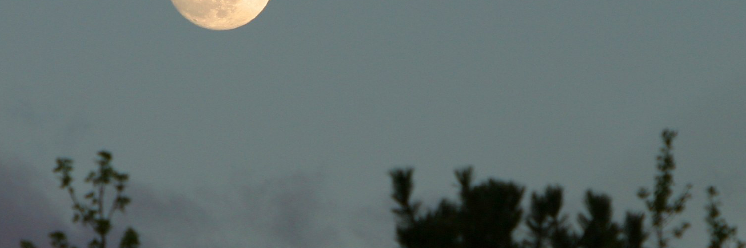 Валя Беляева banner