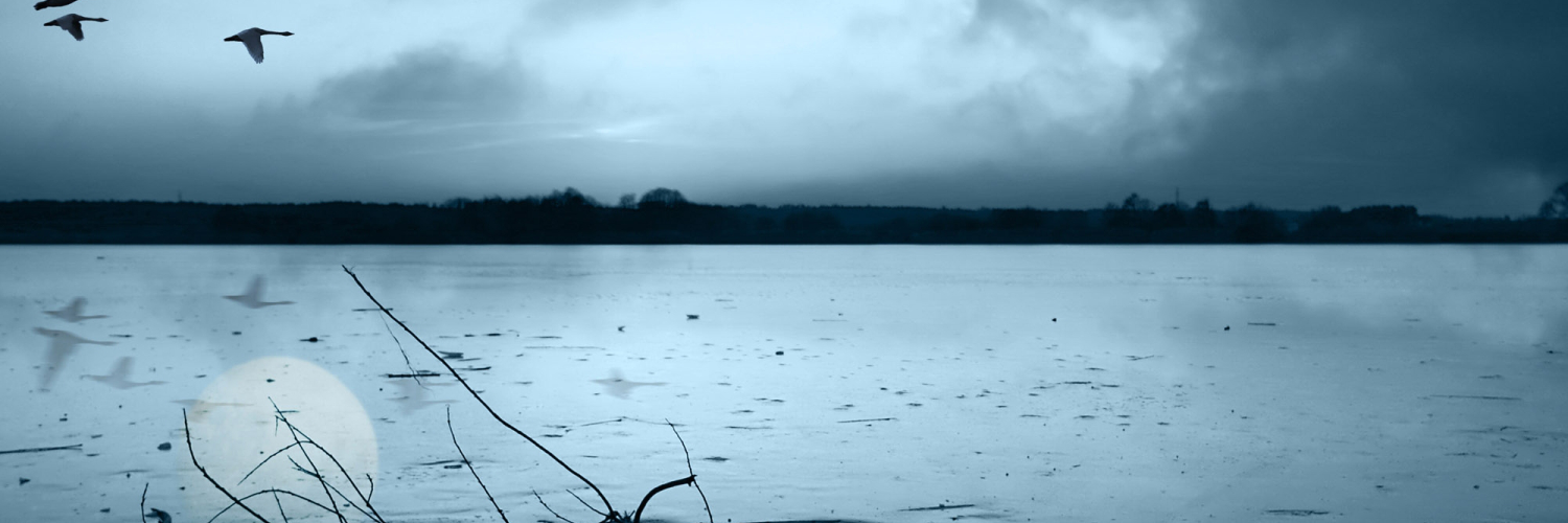 Ленка Васильева banner