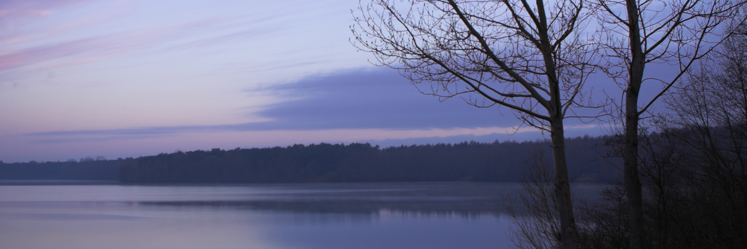 Лера Максимова banner