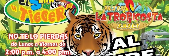 elshowdeltigger's profile banner image