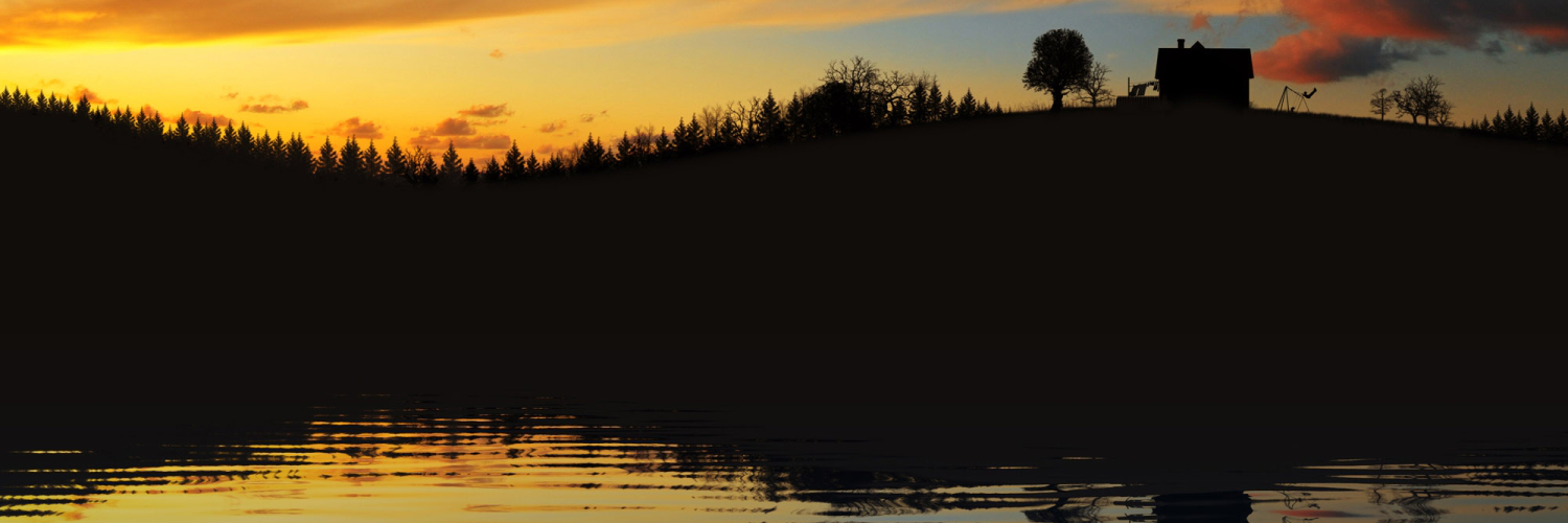 Света Макарова banner