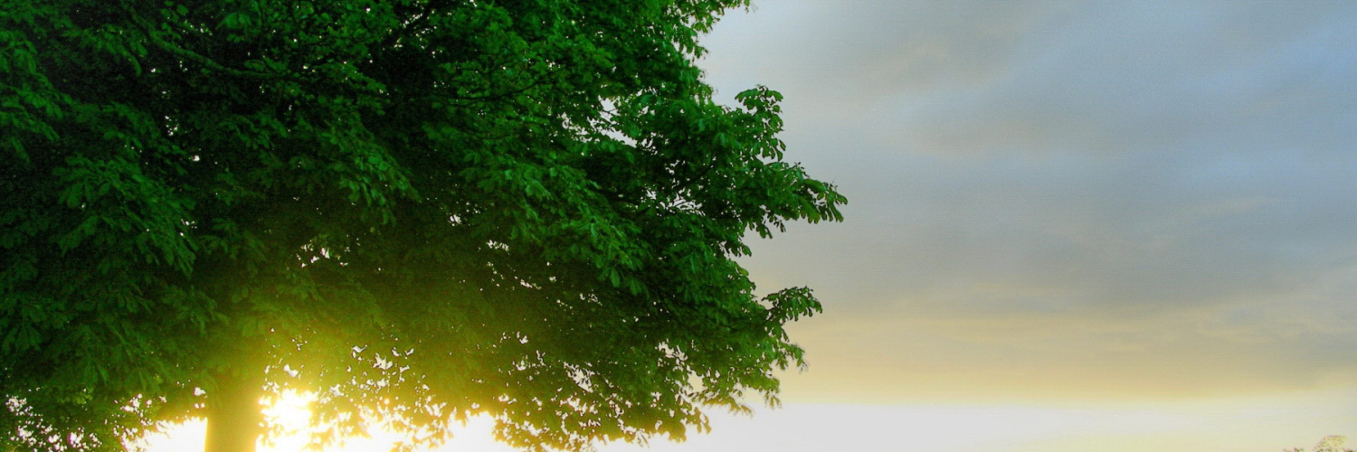 robertiwawidis's profile banner image