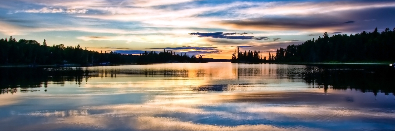 Лариса Зайцева banner