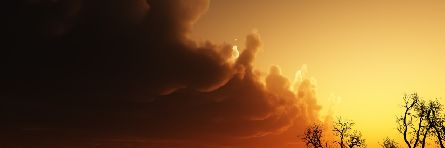 robertoponoyet's profile banner image