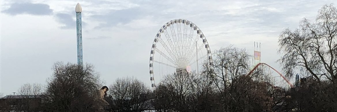 SRambling🌸👑 banner