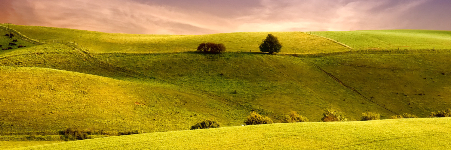 Даша Чернова banner
