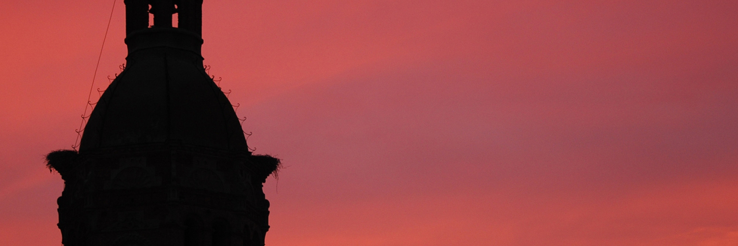 brianedocakov's profile banner image