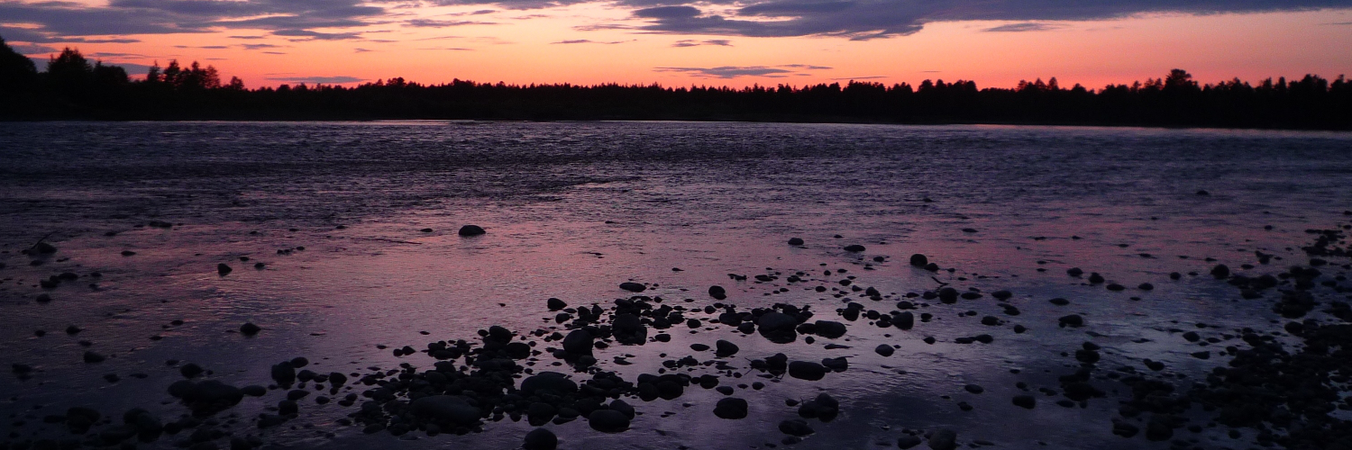 thomasojokivib's profile banner image