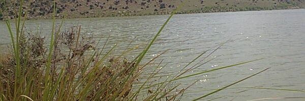 RealRashidIb's profile banner image