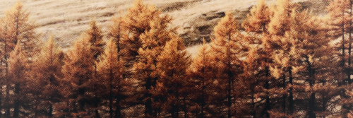itscollinstwgdr's profile banner image