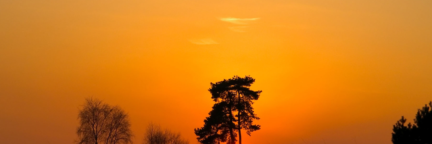 Вера Александрова banner