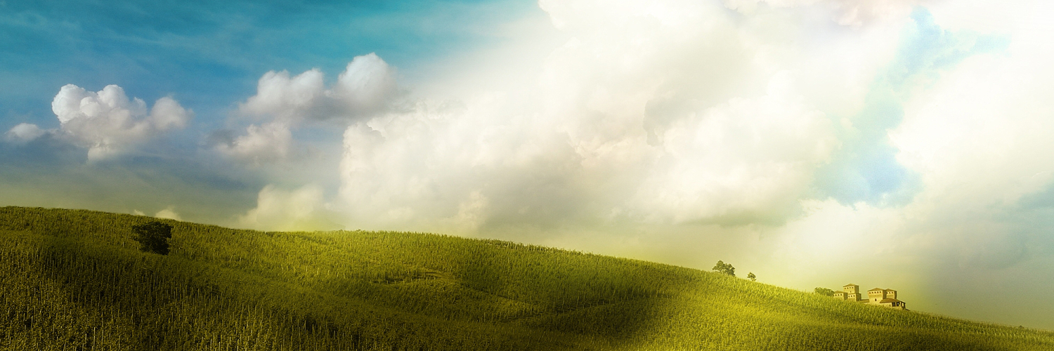 Анна Полякова banner
