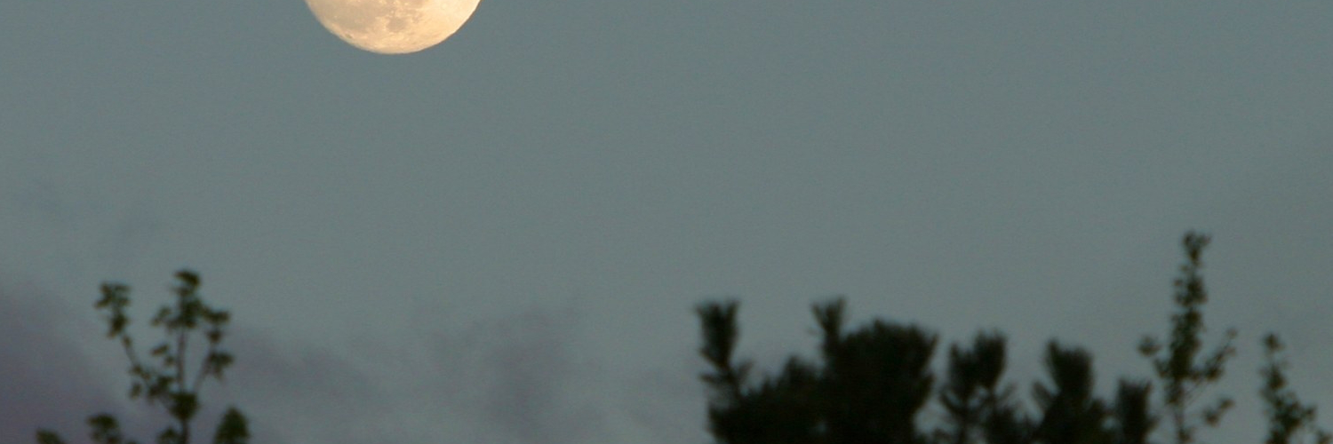 Яна Родионова banner