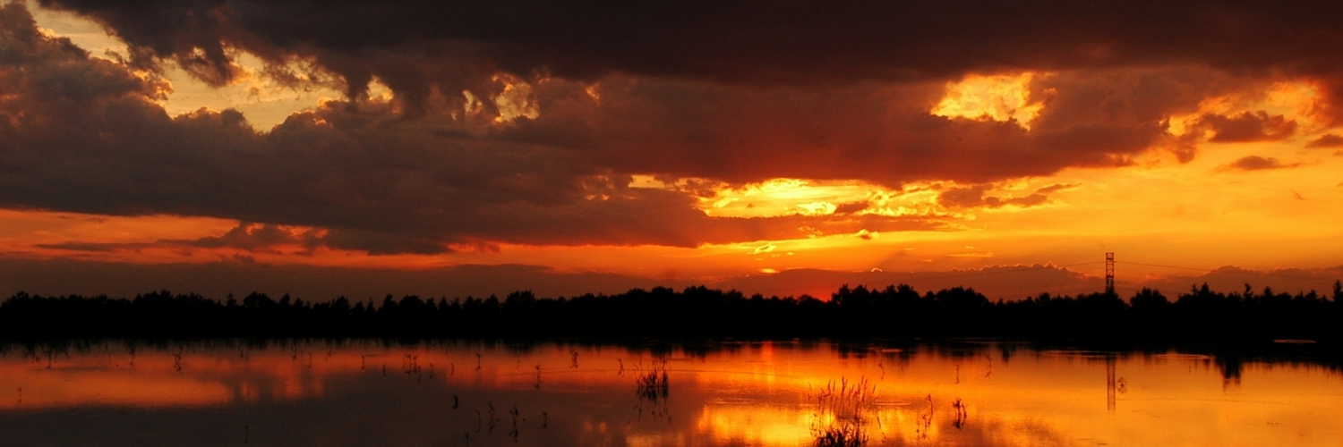 danielinufigiv's profile banner image