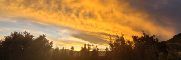 waskar_s Profile Banner