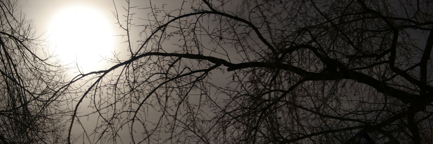 edwardejafelaq's profile banner image