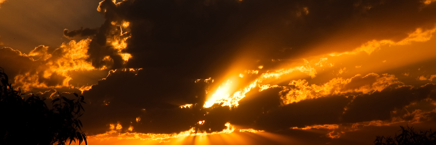 Анна Воронина banner