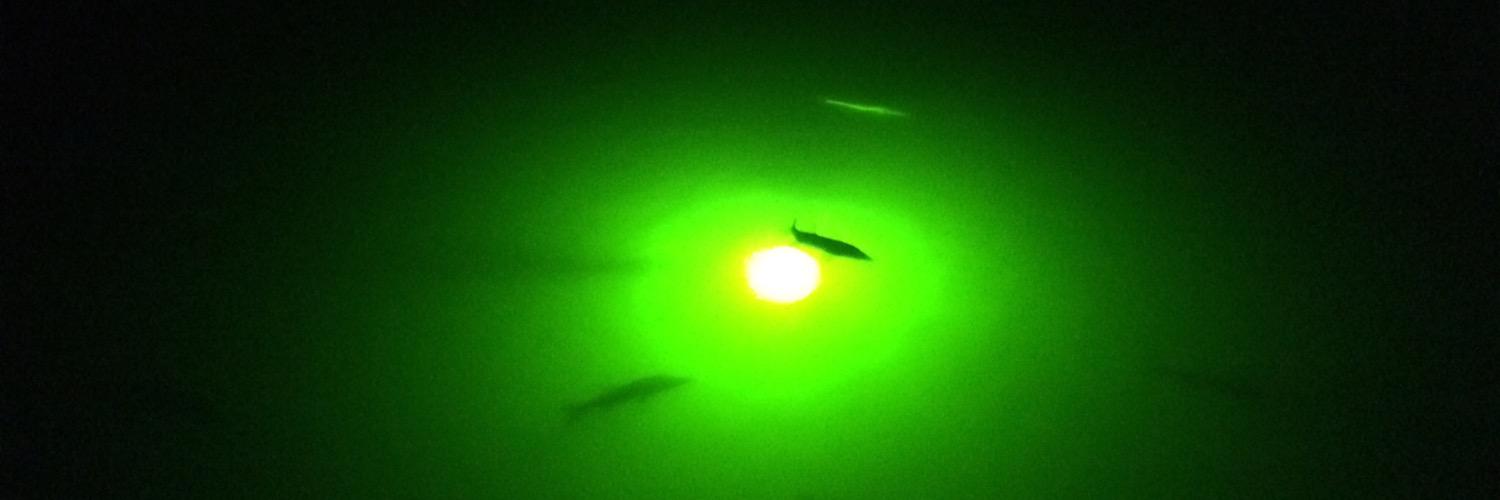 GreenGlowDockLight® banner