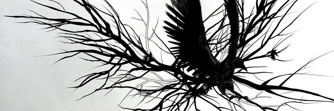 s_hckbrth's profile banner image