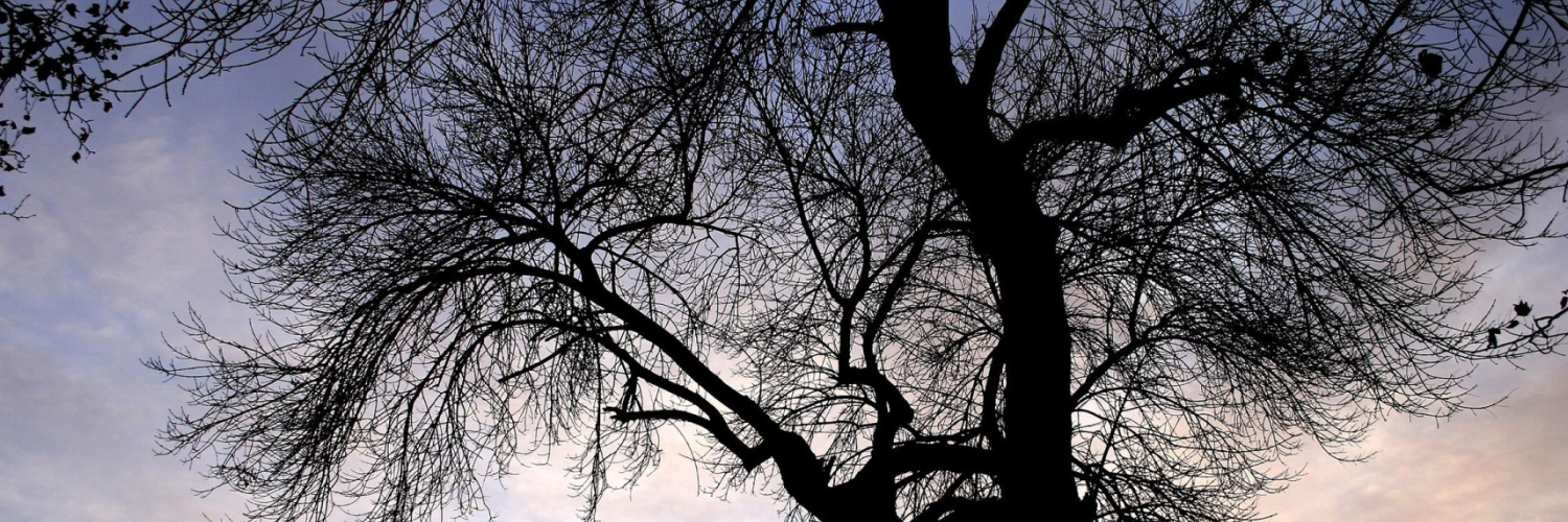 michaelanavanim's profile banner image