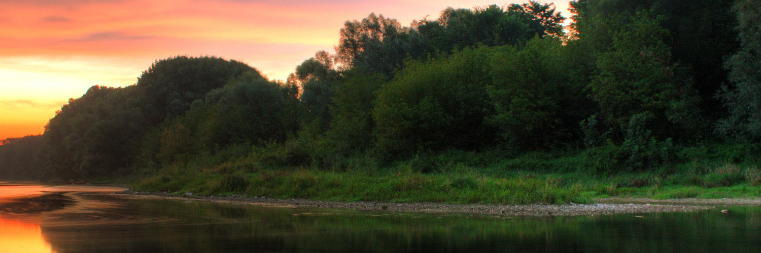 robertesipuzog's profile banner image