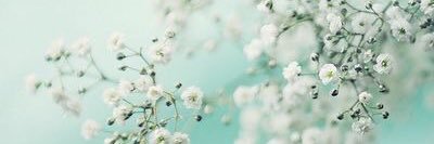 🎀エミカ☕️🫀🏺🌿 banner