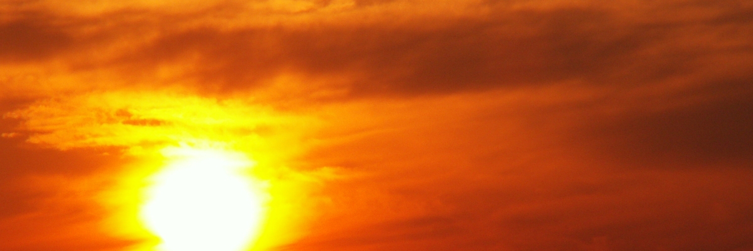 Лена Федотова banner