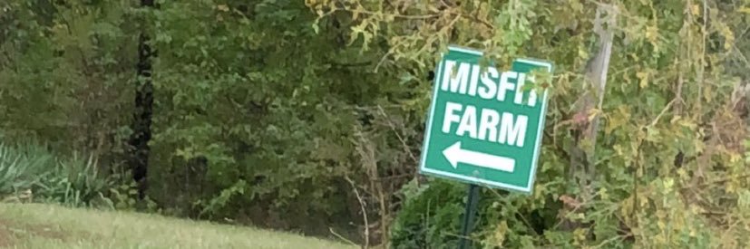 jorts joestar banner