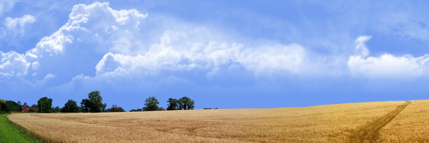 Лера Пономарева banner