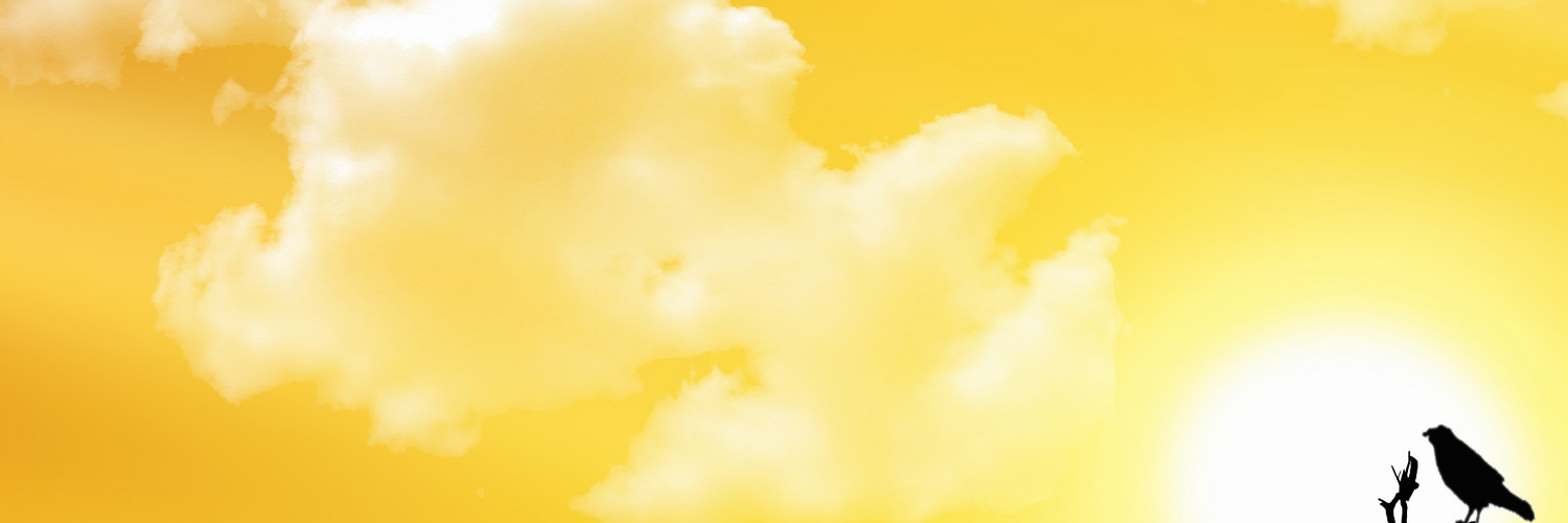 jasonibusequp's profile banner image