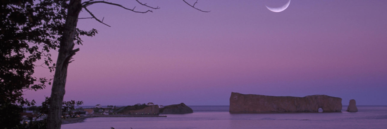 Света Зайцева banner
