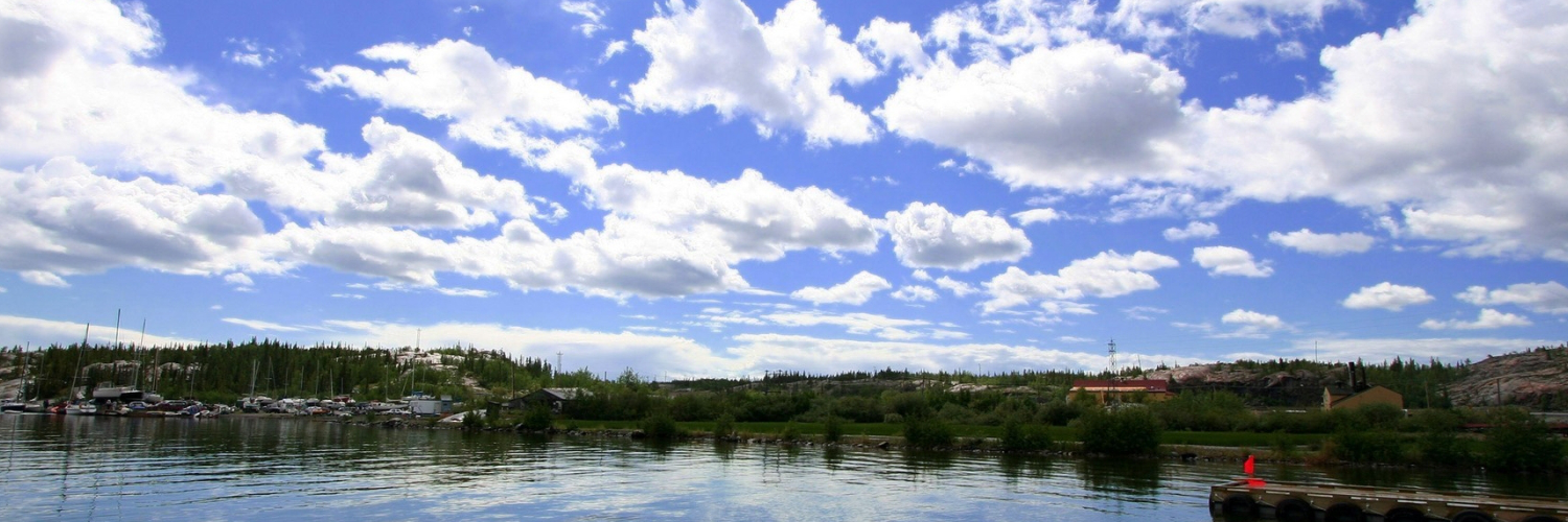 Светлана Белова banner