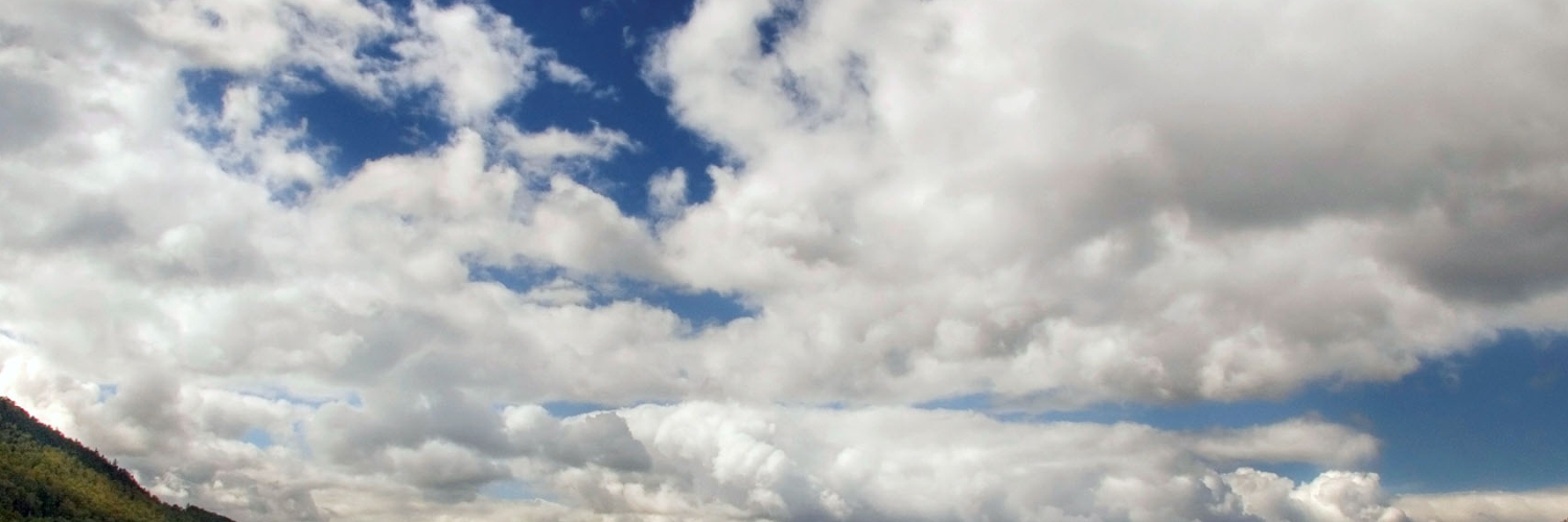 brianojuxidin's profile banner image