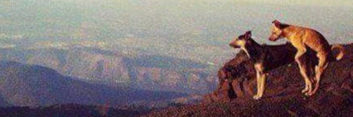 TlioDavi1's profile banner image