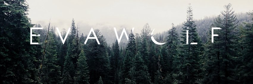 evawolfmusic's profile banner image