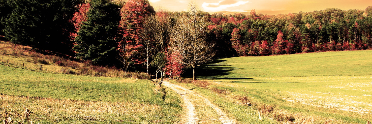 donaldepepiqex's profile banner image