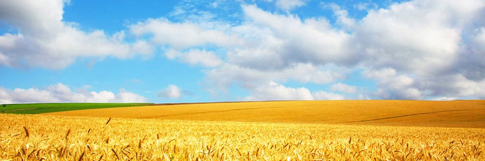cs2271099's profile banner image