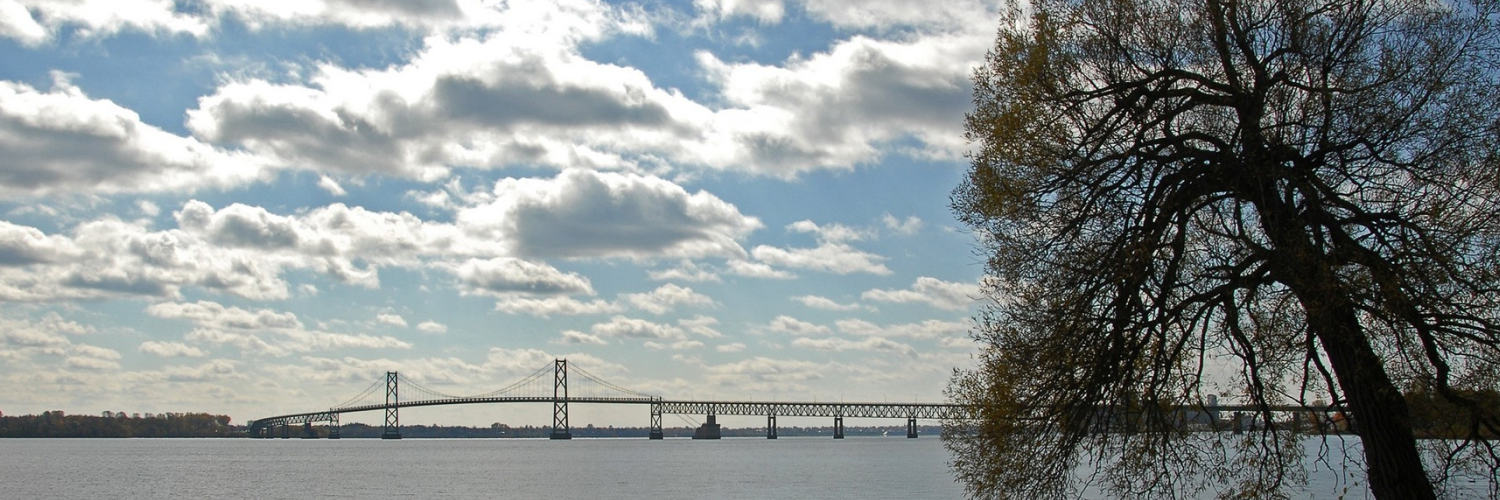 Леся Макарова banner